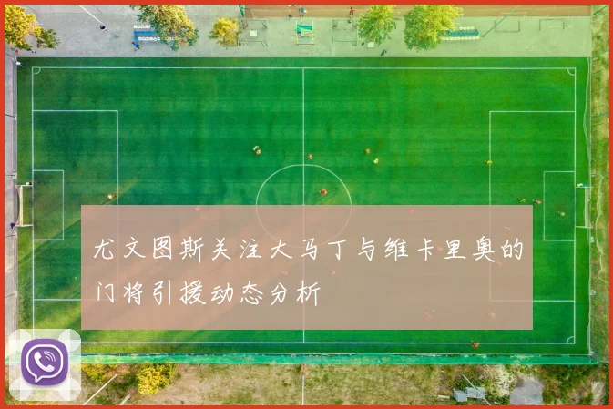 尤文图斯关注大马丁与维卡里奥的门将引援动态分析